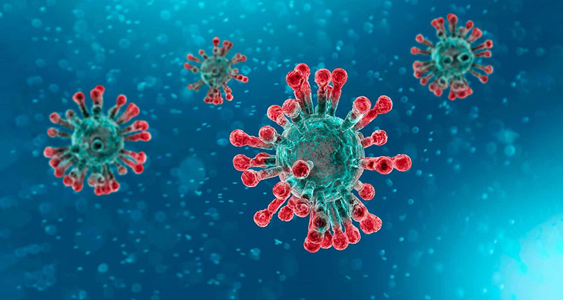 Coronavirus covid 19